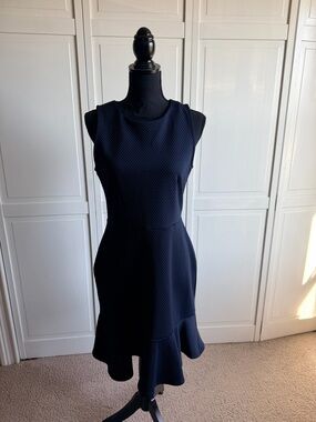 Banana Republic Navy Sleeveless Textured Fit & Flare Dress